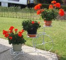 Blumenfahrrad